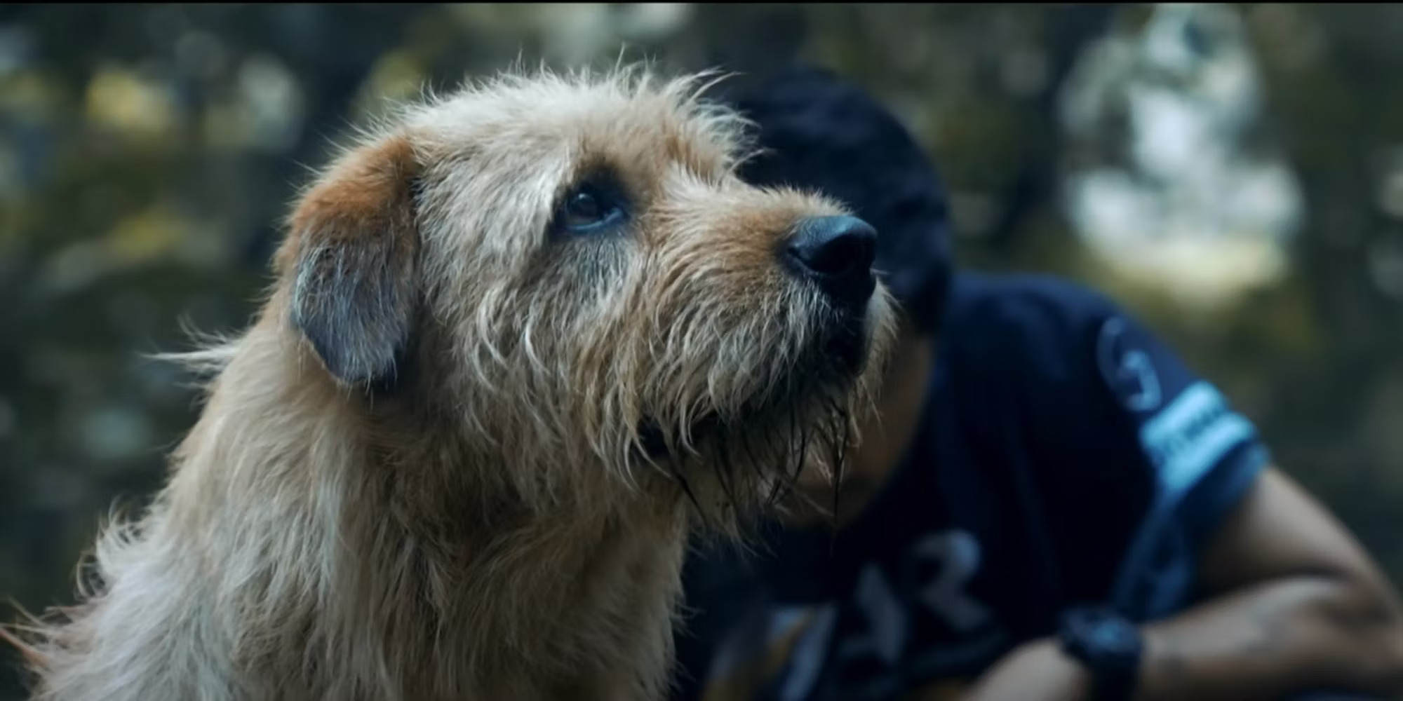 Arthur: una amistad sin límites – un hombre, un perro, y una historia de resiliencia