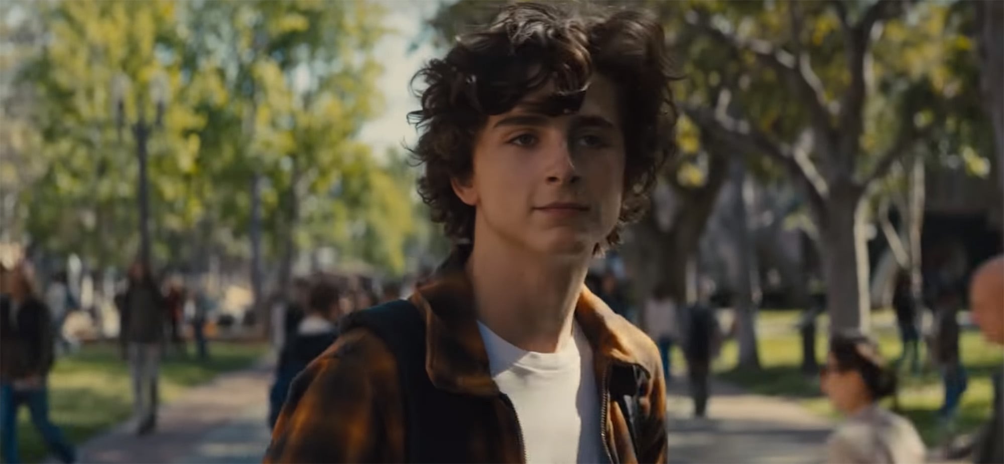 CRÍTICA: Beautiful Boy: Siempre serás mi hijo – riesgos que no dan frutos