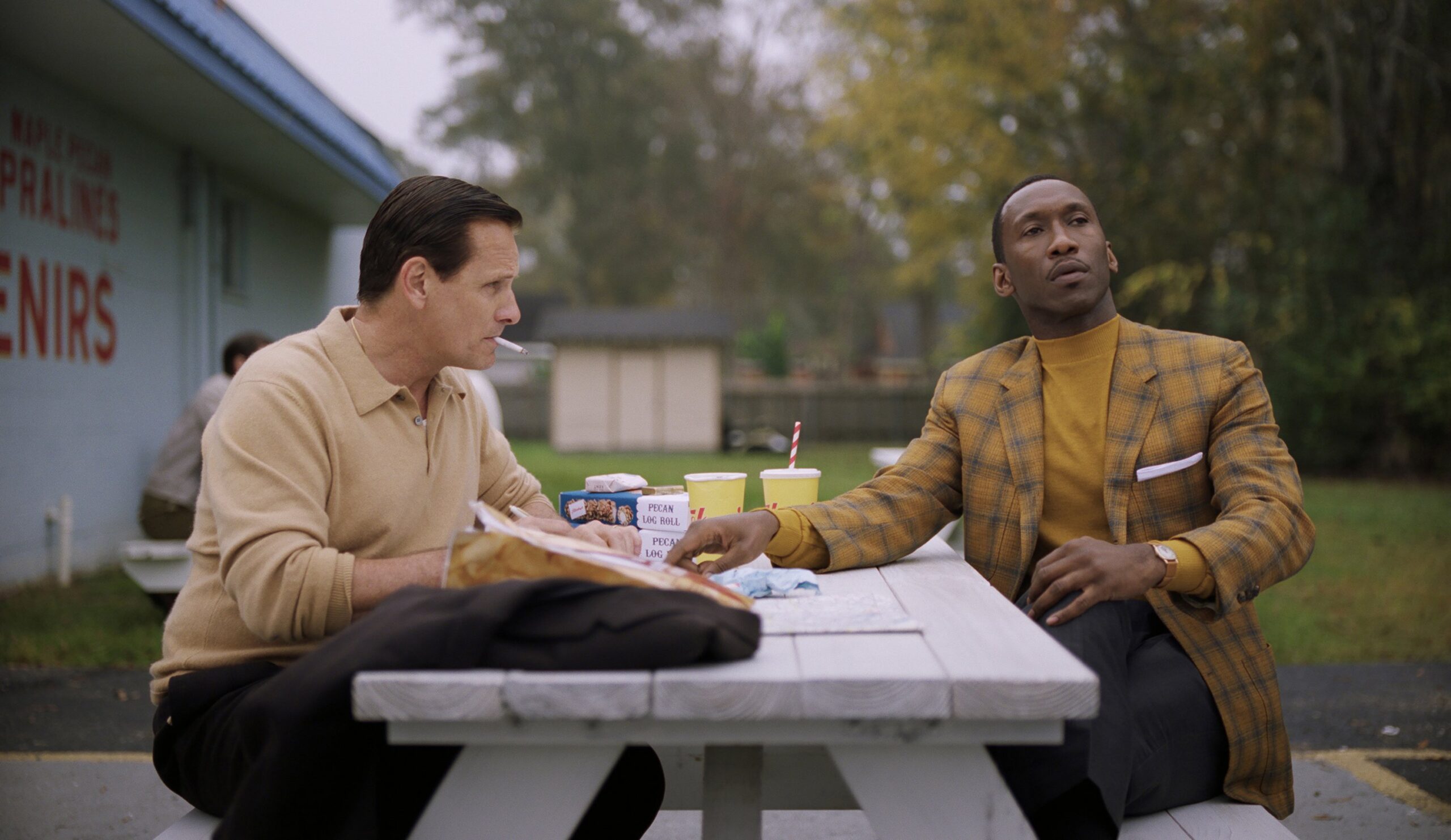 CRÍTICA: Una amistas sin fronteras (Green Book) – un ligero drama tipo ‘feel-good’