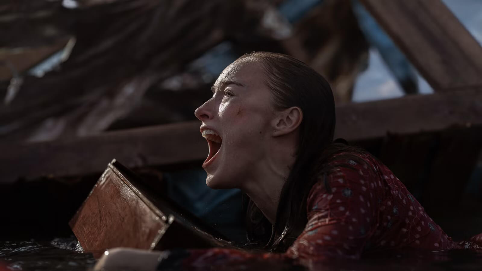 CRÍTICA: Embestida (Netflix) – que se inunde todo